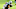 Carolina Panthers Carolina Panthers