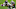 Carolina Panthers Carolina Panthers