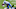 Carolina Panthers Carolina Panthers