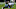Carolina Panthers Carolina Panthers