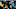 Carolina Panthers Carolina Panthers