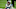 Carolina Panthers Carolina Panthers