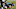 Carolina Panthers Carolina Panthers