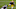 Carolina Panthers Carolina Panthers