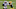 Carolina Panthers Carolina Panthers