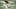 Cam Newton