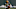 Aaron Rodgers Aaron Rodgers
