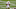 Carolina Panthers Carolina Panthers