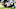 Carolina Panthers Carolina Panthers
