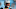 Carolina Panthers Carolina Panthers