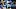Carolina Panthers Carolina Panthers
