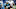 Steve Smith Carolina Panthers Steve Smith Carolina Panthers