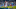 Tampa Bay Buccaneers v Carolina Panthers Tampa Bay Buccaneers v Carolina Panthers