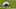 San Diego Chargers v Carolina Panthers San Diego Chargers v Carolina Panthers