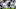 Carolina Panthers v Tennessee Titans Carolina Panthers v Tennessee Titans