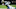 Shaq Thompson, Carolina Panthers Shaq Thompson, Carolina Panthers