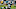 Green Bay Packers v Carolina Panthers Green Bay Packers v Carolina Panthers