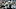 Green Bay Packers v Carolina Panthers Green Bay Packers v Carolina Panthers