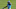 Carolina Panthers Carolina Panthers