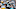 Carolina Panthers Carolina Panthers
