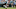 Carolina Panthers Carolina Panthers