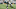 Muhsin Muhammad, Carolina Panthers Muhsin Muhammad, Carolina Panthers
