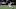T.J. Green, Carolina Panthers T.J. Green, Carolina Panthers