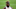 Tyreek Hill, Carolina Panthers Tyreek Hill, Carolina Panthers