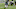LeGarrette Blount, Carolina Panthers LeGarrette Blount, Carolina Panthers