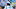 Carolina Panthers Carolina Panthers