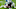 Carolina Panthers Carolina Panthers