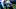 Carolina Panthers Carolina Panthers
