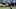 Carolina Panthers Carolina Panthers