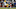 Carolina Panthers Carolina Panthers