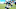Carolina Panthers Carolina Panthers