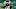 Carolina Panthers Carolina Panthers