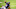 Carolina Panthers Carolina Panthers