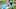 Carolina Panthers Carolina Panthers