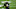 Carolina Panthers Carolina Panthers