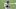 Carolina Panthers Carolina Panthers