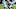 Carolina Panthers Carolina Panthers