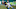 Carolina Panthers Carolina Panthers
