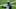 Carolina Panthers Carolina Panthers