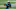 Carolina Panthers Carolina Panthers