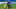 Carolina Panthers Carolina Panthers