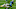 Carolina Panthers Carolina Panthers