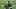 Carolina Panthers Carolina Panthers