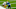 Carolina Panthers Carolina Panthers