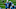 Teddy Bridgewater Teddy Bridgewater