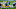 Carolina Panthers Carolina Panthers